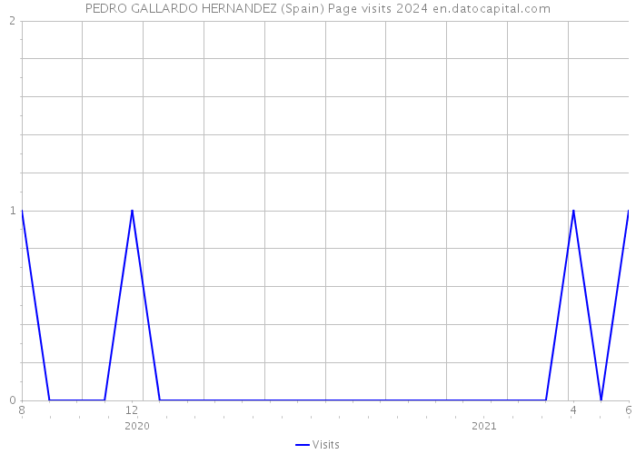 PEDRO GALLARDO HERNANDEZ (Spain) Page visits 2024 