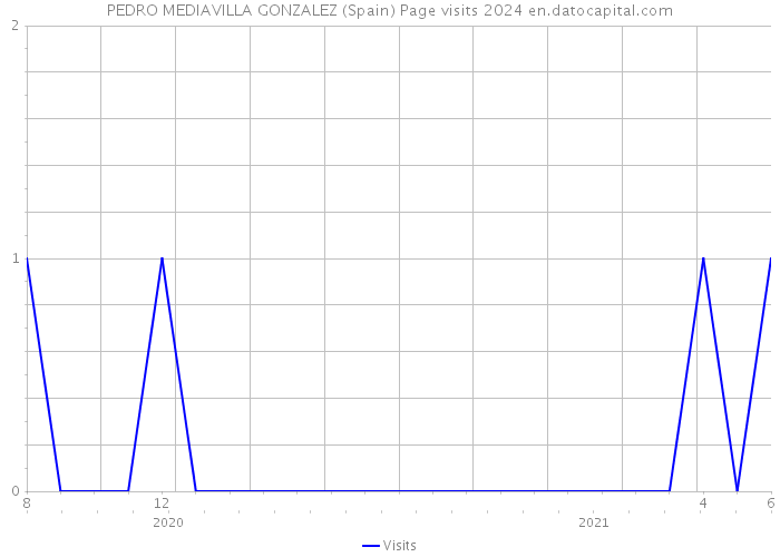 PEDRO MEDIAVILLA GONZALEZ (Spain) Page visits 2024 