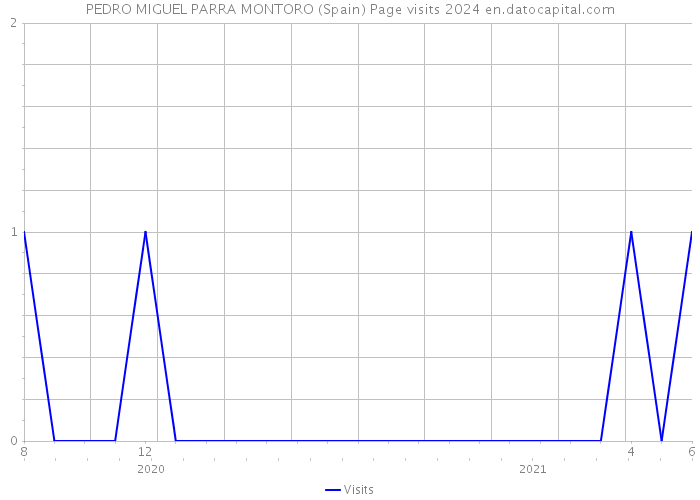 PEDRO MIGUEL PARRA MONTORO (Spain) Page visits 2024 
