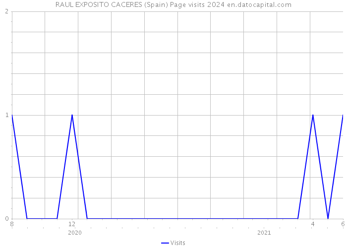 RAUL EXPOSITO CACERES (Spain) Page visits 2024 