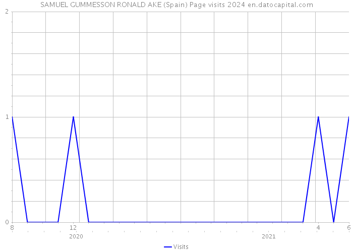 SAMUEL GUMMESSON RONALD AKE (Spain) Page visits 2024 