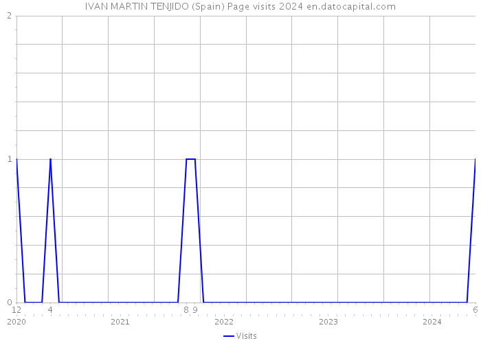 IVAN MARTIN TENJIDO (Spain) Page visits 2024 