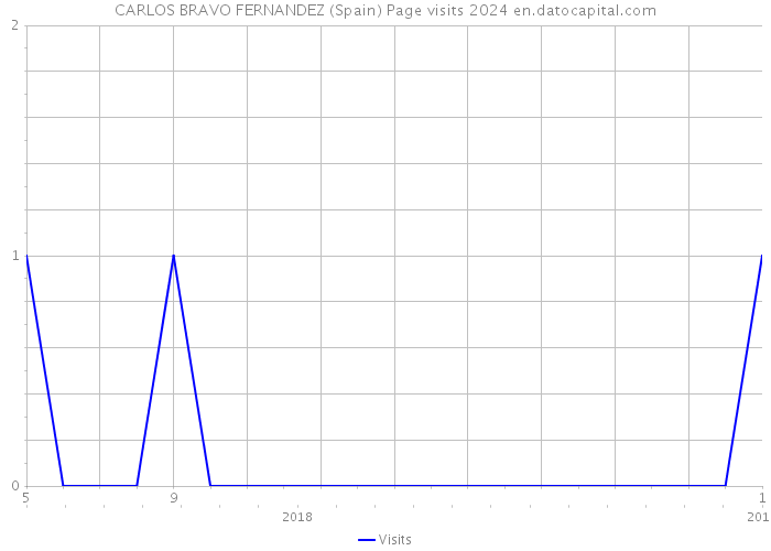 CARLOS BRAVO FERNANDEZ (Spain) Page visits 2024 