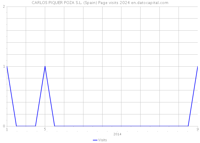 CARLOS PIQUER POZA S.L. (Spain) Page visits 2024 