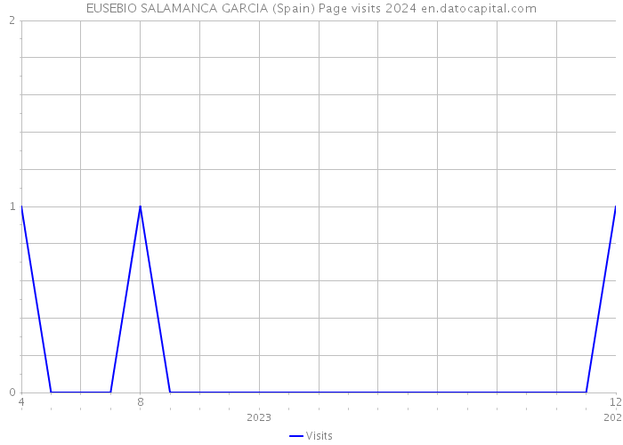 EUSEBIO SALAMANCA GARCIA (Spain) Page visits 2024 