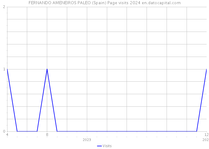FERNANDO AMENEIROS PALEO (Spain) Page visits 2024 