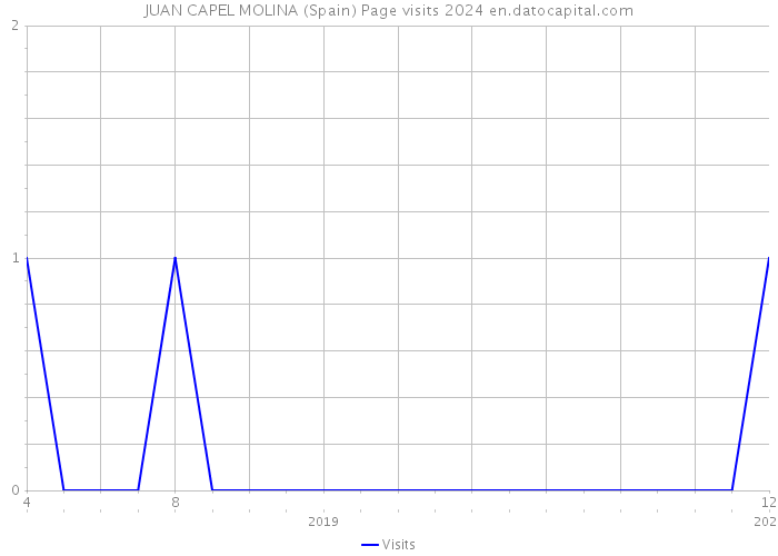 JUAN CAPEL MOLINA (Spain) Page visits 2024 