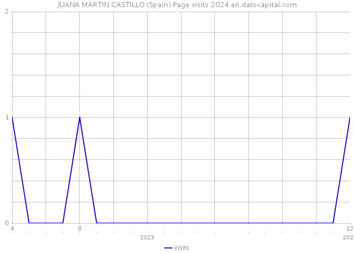 JUANA MARTIN CASTILLO (Spain) Page visits 2024 