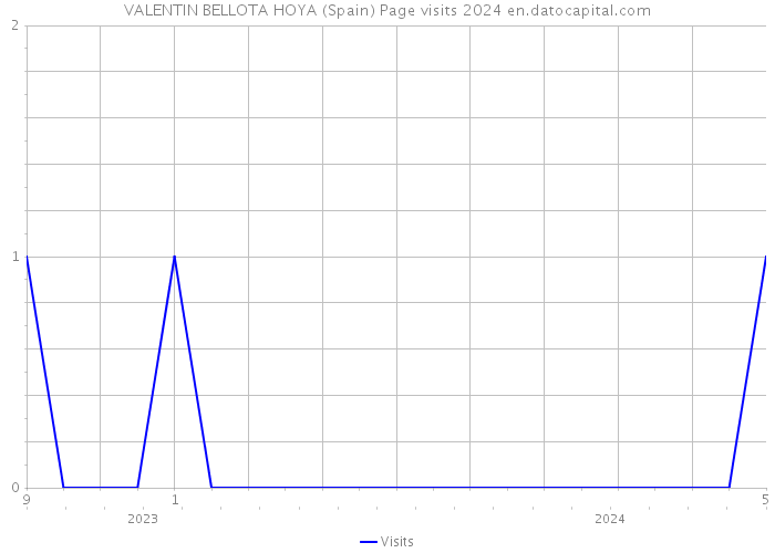 VALENTIN BELLOTA HOYA (Spain) Page visits 2024 