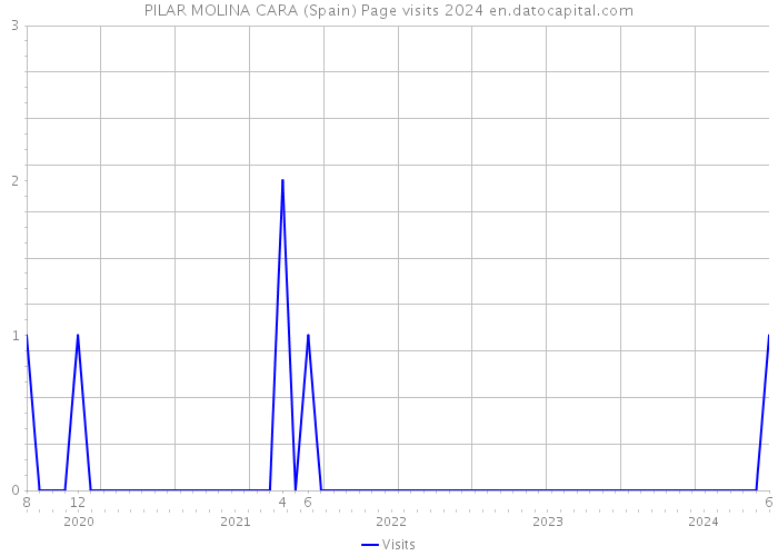 PILAR MOLINA CARA (Spain) Page visits 2024 