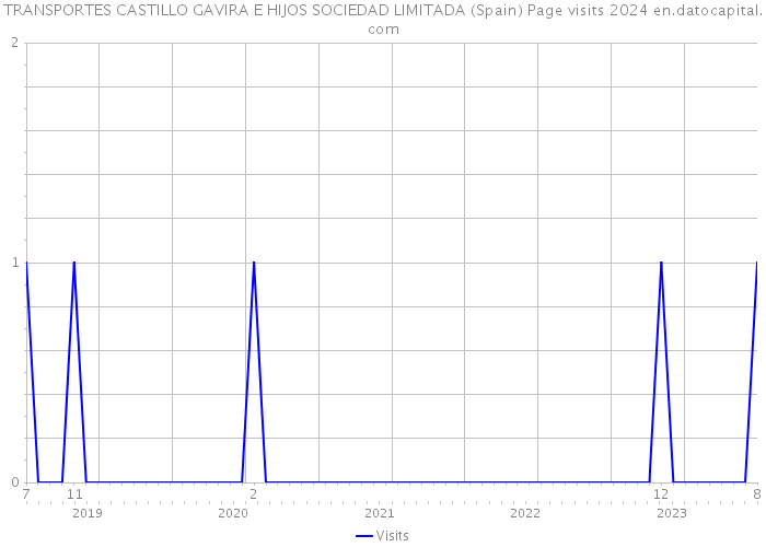 TRANSPORTES CASTILLO GAVIRA E HIJOS SOCIEDAD LIMITADA (Spain) Page visits 2024 