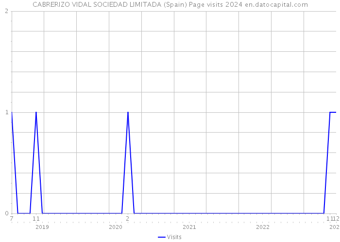 CABRERIZO VIDAL SOCIEDAD LIMITADA (Spain) Page visits 2024 