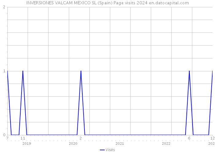 INVERSIONES VALCAM MEXICO SL (Spain) Page visits 2024 