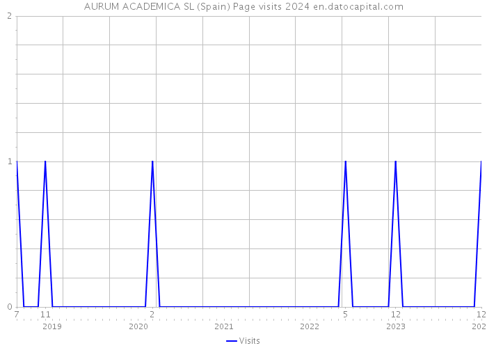 AURUM ACADEMICA SL (Spain) Page visits 2024 