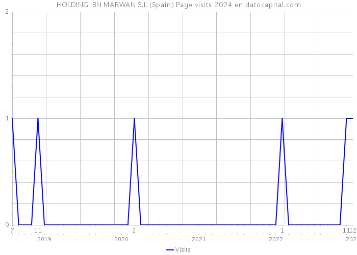 HOLDING IBN MARWAN S.L (Spain) Page visits 2024 