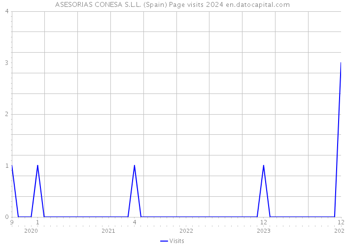 ASESORIAS CONESA S.L.L. (Spain) Page visits 2024 