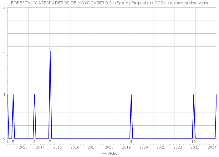 FORESTAL Y ASERRADEROS DE HOYOCASERO SL (Spain) Page visits 2024 