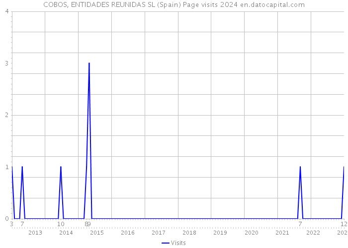 COBOS, ENTIDADES REUNIDAS SL (Spain) Page visits 2024 