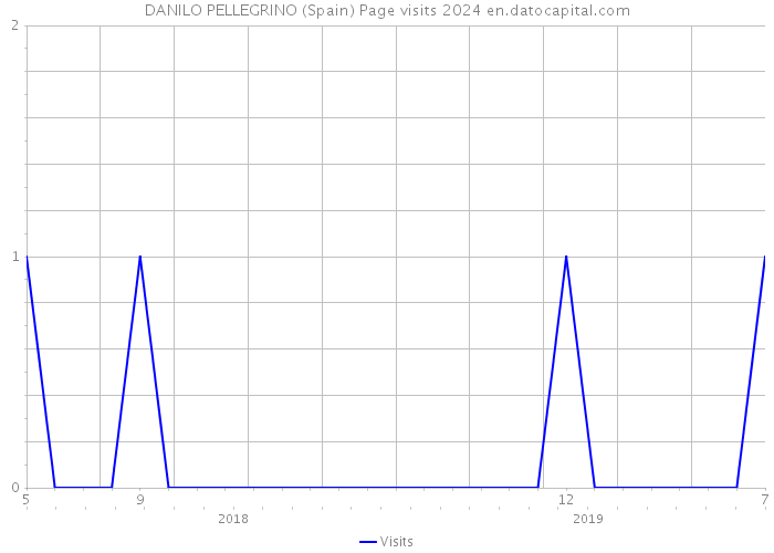 DANILO PELLEGRINO (Spain) Page visits 2024 