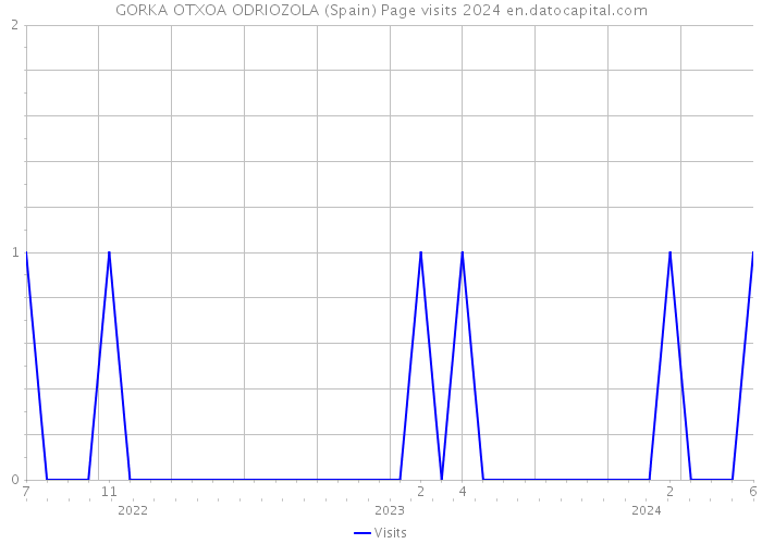 GORKA OTXOA ODRIOZOLA (Spain) Page visits 2024 