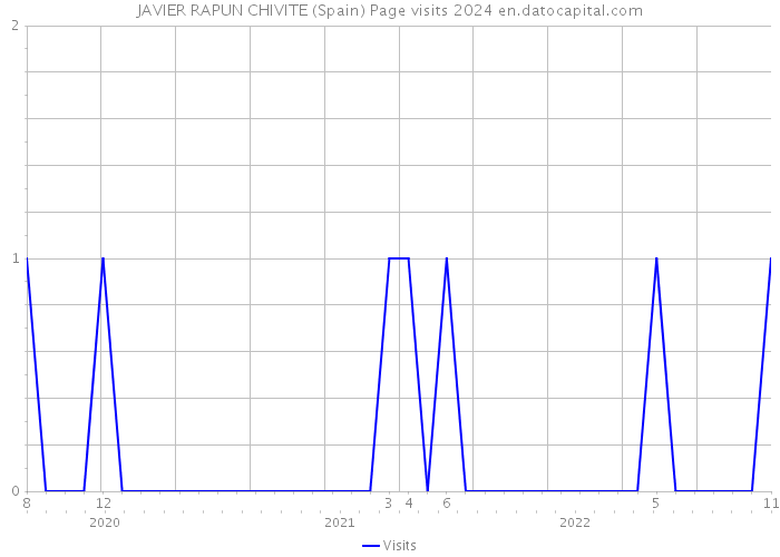 JAVIER RAPUN CHIVITE (Spain) Page visits 2024 