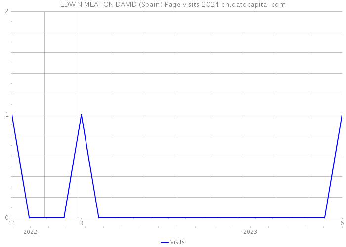 EDWIN MEATON DAVID (Spain) Page visits 2024 