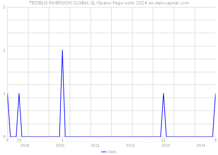 TESSELIS INVERSION GLOBAL SL (Spain) Page visits 2024 