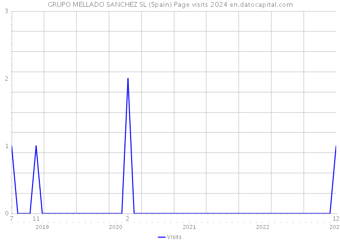 GRUPO MELLADO SANCHEZ SL (Spain) Page visits 2024 