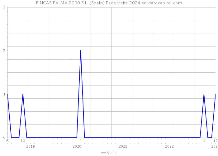 FINCAS PALMA 2000 S.L. (Spain) Page visits 2024 