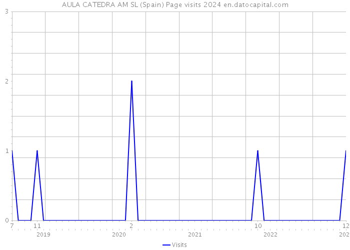 AULA CATEDRA AM SL (Spain) Page visits 2024 