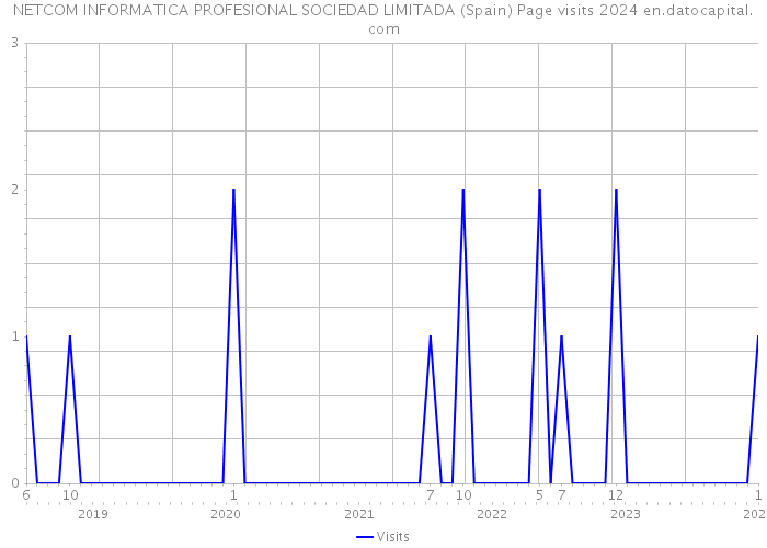 NETCOM INFORMATICA PROFESIONAL SOCIEDAD LIMITADA (Spain) Page visits 2024 