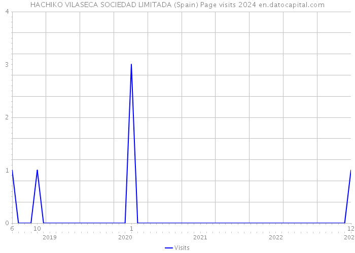 HACHIKO VILASECA SOCIEDAD LIMITADA (Spain) Page visits 2024 
