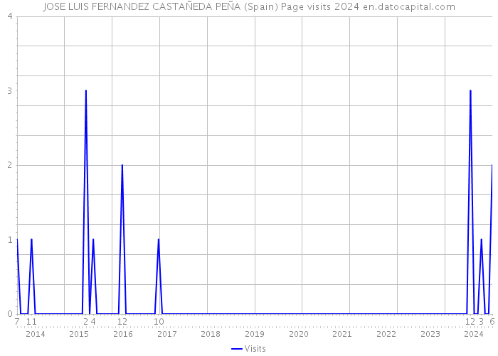 JOSE LUIS FERNANDEZ CASTAÑEDA PEÑA (Spain) Page visits 2024 