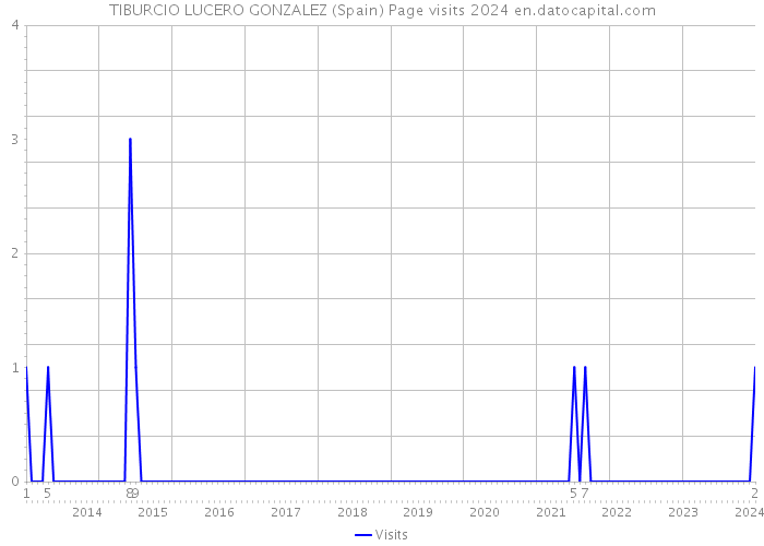 TIBURCIO LUCERO GONZALEZ (Spain) Page visits 2024 