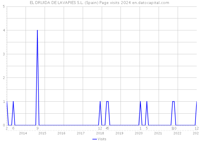 EL DRUIDA DE LAVAPIES S.L. (Spain) Page visits 2024 
