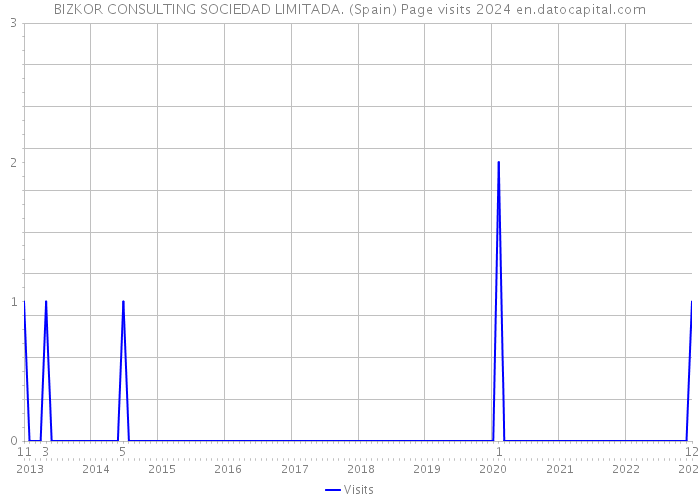 BIZKOR CONSULTING SOCIEDAD LIMITADA. (Spain) Page visits 2024 