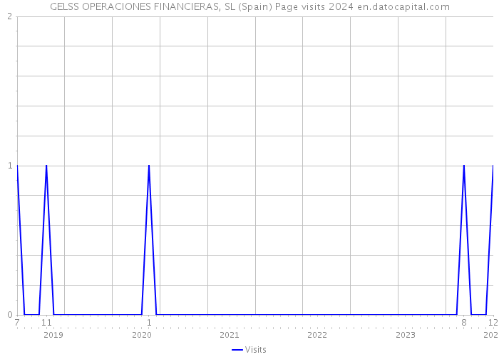 GELSS OPERACIONES FINANCIERAS, SL (Spain) Page visits 2024 