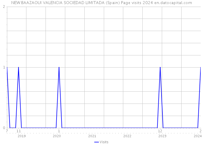 NEW BAAZAOUI VALENCIA SOCIEDAD LIMITADA (Spain) Page visits 2024 