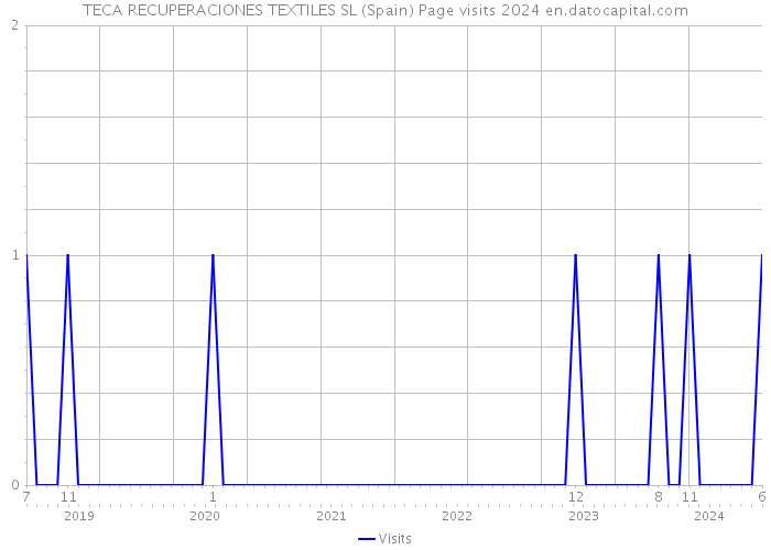 TECA RECUPERACIONES TEXTILES SL (Spain) Page visits 2024 
