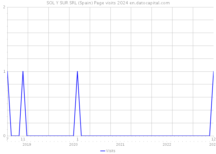 SOL Y SUR SRL (Spain) Page visits 2024 