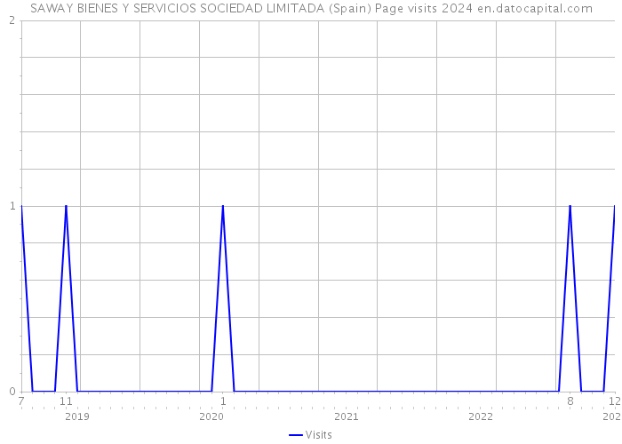 SAWAY BIENES Y SERVICIOS SOCIEDAD LIMITADA (Spain) Page visits 2024 