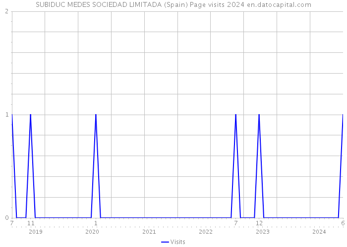 SUBIDUC MEDES SOCIEDAD LIMITADA (Spain) Page visits 2024 