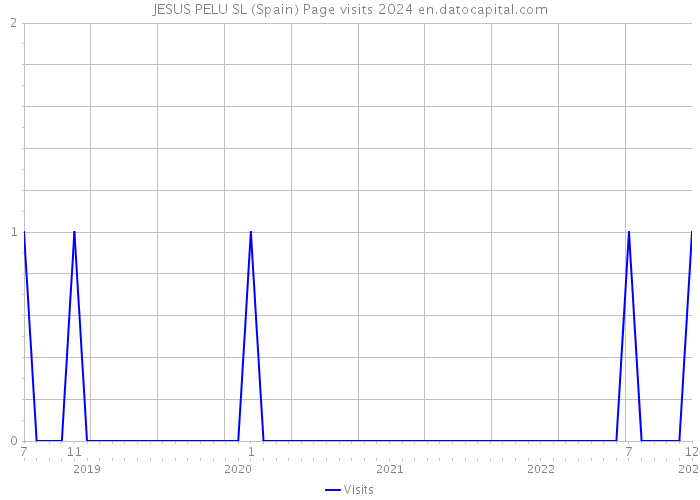 JESUS PELU SL (Spain) Page visits 2024 