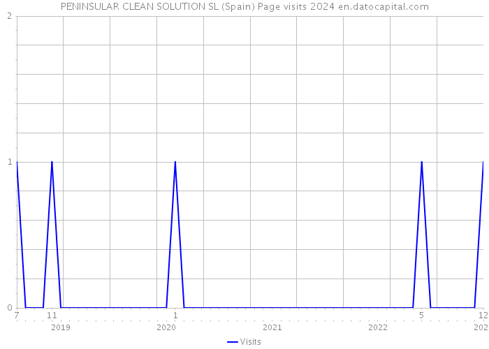 PENINSULAR CLEAN SOLUTION SL (Spain) Page visits 2024 