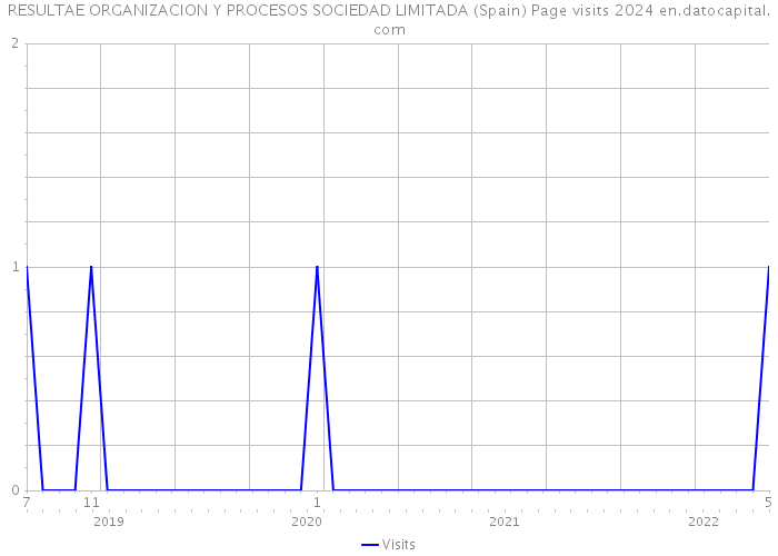 RESULTAE ORGANIZACION Y PROCESOS SOCIEDAD LIMITADA (Spain) Page visits 2024 