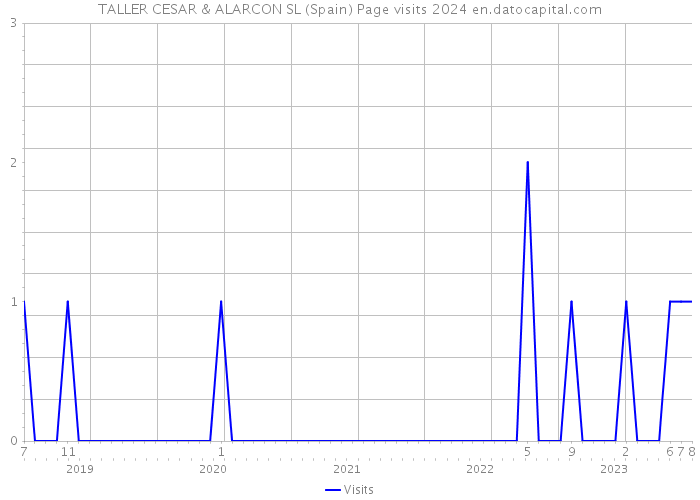 TALLER CESAR & ALARCON SL (Spain) Page visits 2024 