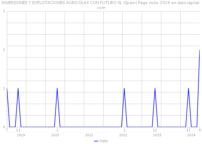 INVERSIONES Y EXPLOTACIONES AGRICOLAS CON FUTURO SL (Spain) Page visits 2024 