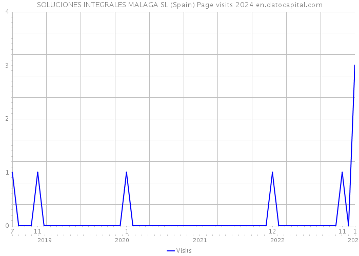 SOLUCIONES INTEGRALES MALAGA SL (Spain) Page visits 2024 