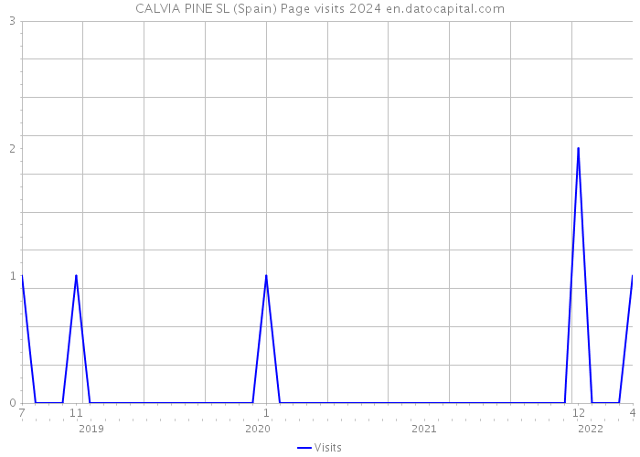 CALVIA PINE SL (Spain) Page visits 2024 