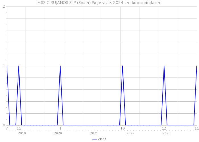 MSS CIRUJANOS SLP (Spain) Page visits 2024 